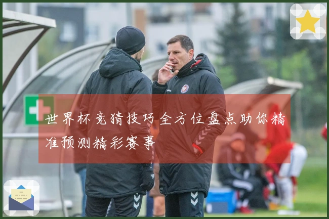 世界杯竞猜技巧全方位盘点助你精准预测精彩赛事