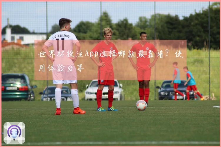世界杯投注App选择哪款最靠谱？使用体验分享